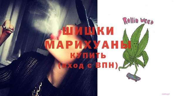 ECSTASY Богданович