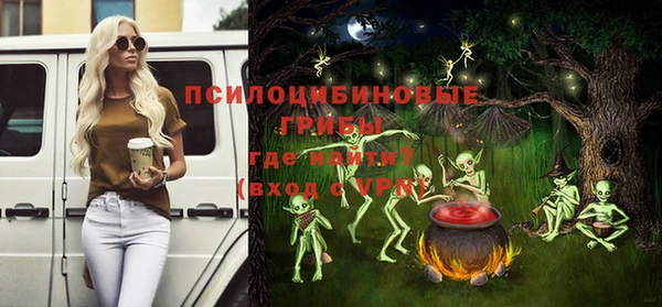 mdpv Богородицк