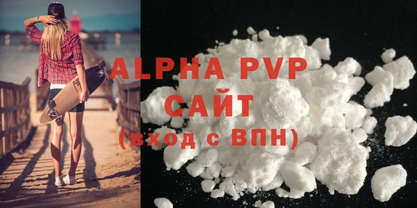 ECSTASY Богданович