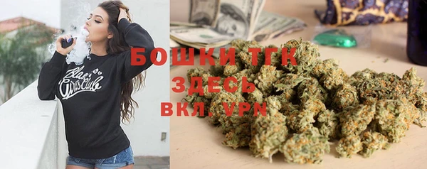 ECSTASY Богданович