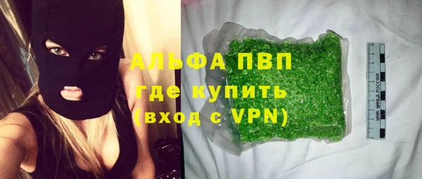 ECSTASY Богданович