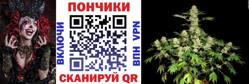 закладки  Шагонар  Бошки марихуана AK-47 